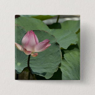 Vietnam, nabij Saigon) My Tho. Vinh Trang 2 Vierkante Button 5,1 Cm