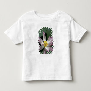 Vietnam, nabij Saigon) My Tho. Vinh Trang Kinder Shirts