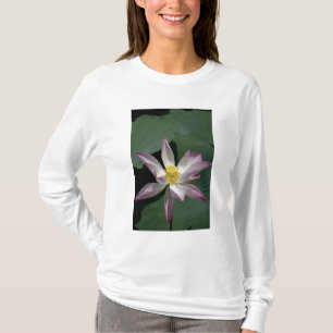 Vietnam, nabij Saigon) My Tho. Vinh Trang T-shirt