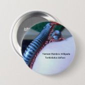 Vietnam Rainbow Millipede (Tonkinbolus dolfusii) Ronde Button 7,6 Cm (Voorkant /achterkant)