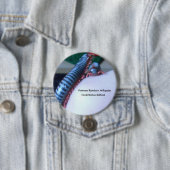 Vietnam Rainbow Millipede (Tonkinbolus dolfusii) Ronde Button 7,6 Cm (In situ)