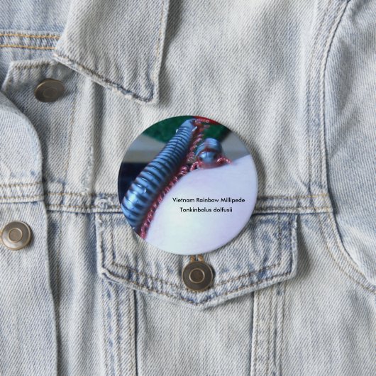 Vietnam Rainbow Millipede (Tonkinbolus dolfusii) Ronde Button 7,6 Cm (In situ)