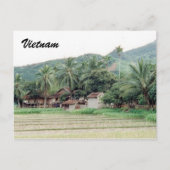 vietnam rice paddies briefkaart (Voorkant)