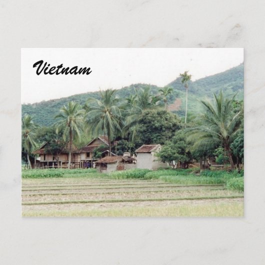 vietnam rice paddies briefkaart (Voorkant)