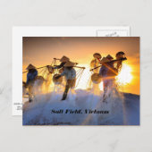 Vietnam Salt Field Briefkaart (Voorkant / Achterkant)