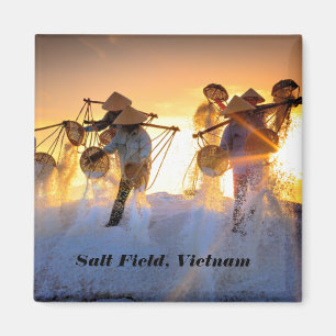 Vietnam Salt Field Magneet