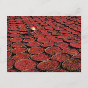 Vietnam. Snoep drogen in manden onder de Briefkaart