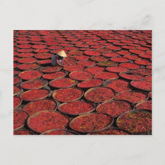 Vietnam. Snoep drogen in manden onder de Briefkaart (Voorkant)