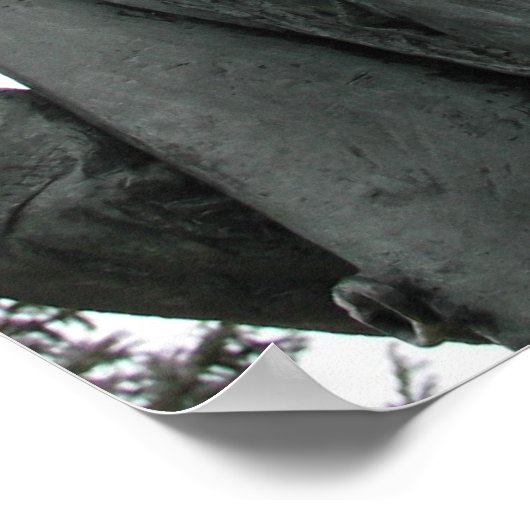 Vietnam Veteraan Poster (Hoek)