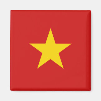 Vietnam-vlag Magnet