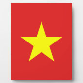 Vietnam Vlaggeel Star Plaque Fotoplaat (Voorkant)