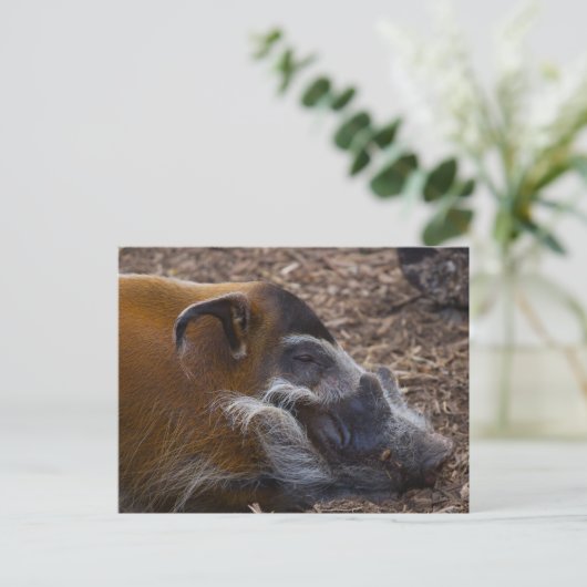 Vietnamees briefkaart (Staand voorkant)