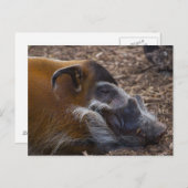 Vietnamees briefkaart (Voorkant / Achterkant)