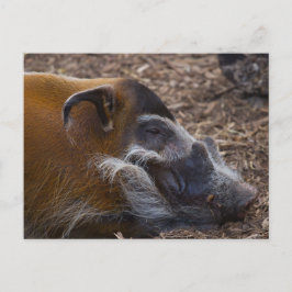 Vietnamees briefkaart