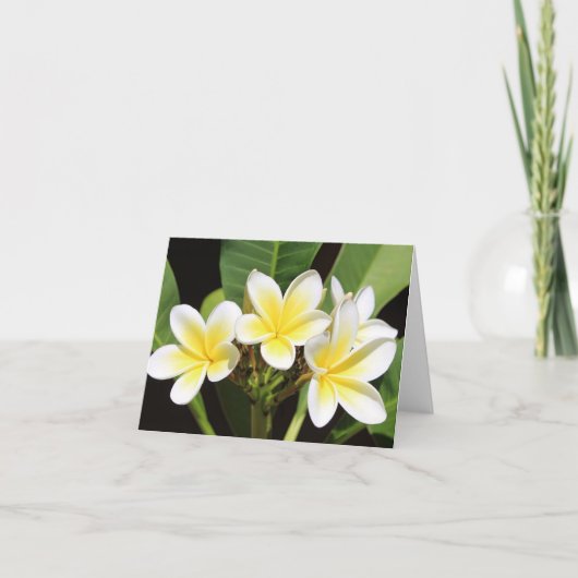 Vietnamees Frangipani All Occasion Notecard Bedankkaart (Voorkant)