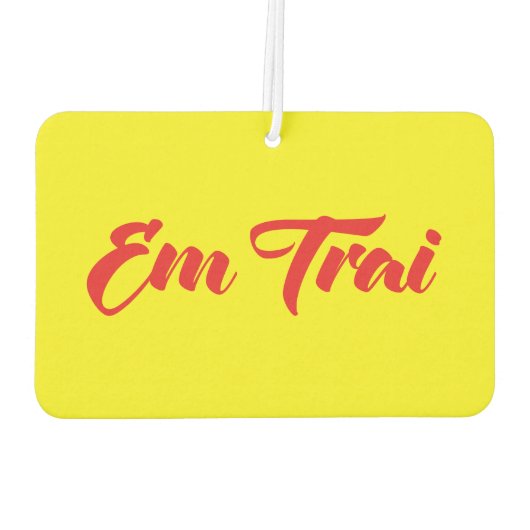 Vietnamees (jong) Broeder - Em Trai ~ Tipragng Vik Luchtverfrisser (Achterkant)