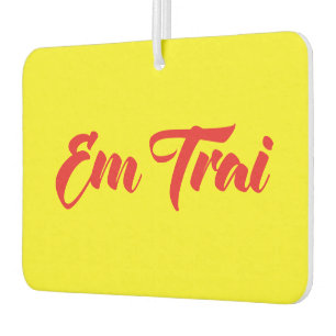 Vietnamees (jong) Broeder - Em Trai ~ Tipragng Vik Luchtverfrisser