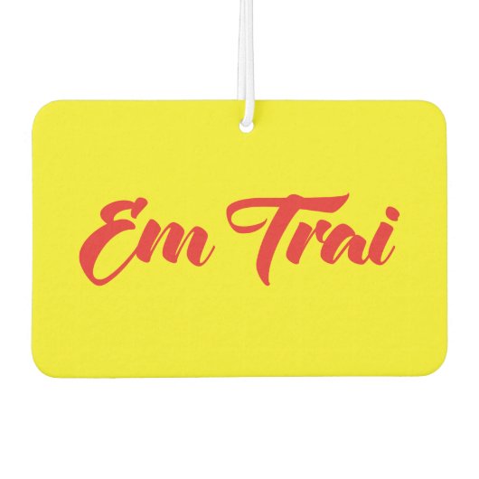 Vietnamees (jong) Broeder - Em Trai ~ Tipragng Vik Luchtverfrisser (Voorkant)