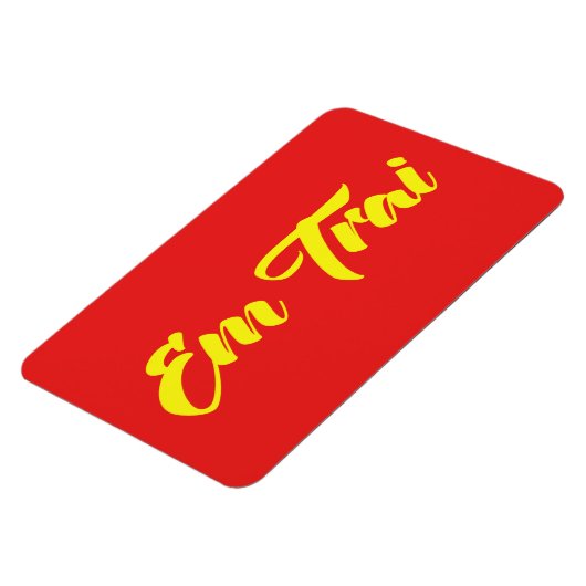 Vietnamees (jong) Broeder - Em Trai ~ Tipragng Vik Magneet (Linkerzijde)