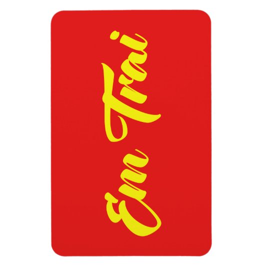 Vietnamees (jong) Broeder - Em Trai ~ Tipragng Vik Magneet (Verticaal)