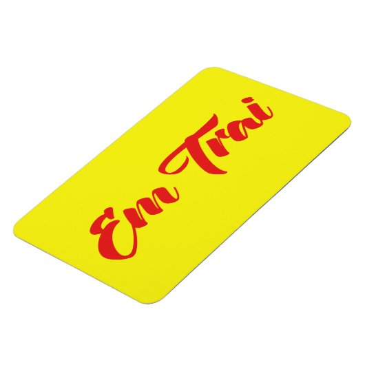 Vietnamees (jong) Broeder - Em Trai ~ Tipragng Vik Magneet (Linkerzijde)