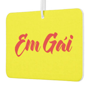 Vietnamees (jong) zus - Em Gái ~ Tiếng Việt Luchtverfrisser