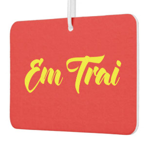 Vietnamees (Jonge) Broer - Em Trai ~ Tiếng Việt Luchtverfrisser