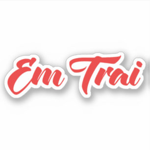 Vietnamees (Jonge) Broer - Em Trai ~ Tiếng Việt Sticker