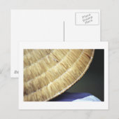 Vietnamees kegelvormig Pet Briefkaart (Voorkant / Achterkant)