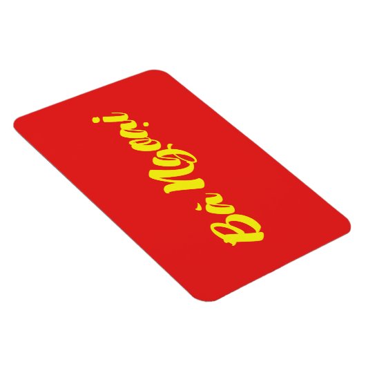 Vietnamees (moeder) grootmoeder - Bà Ngoi Magneet (Rechterzijde)