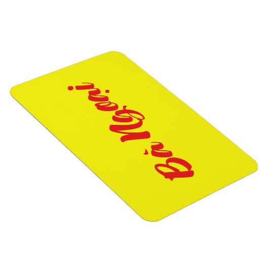 Vietnamees (moeder) grootmoeder - Bà Ngoi Magneet (Rechterzijde)