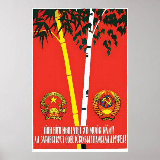 Vietnamees-Sovjet Vriendschapspropagandaposter Poster (Voorkant)