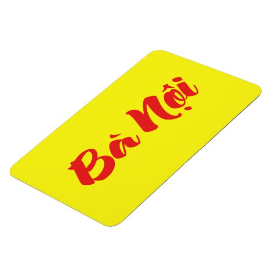 Vietnamees (vaderlijk) grootmoeder - Bà Nempli Magneet (Linkerzijde)