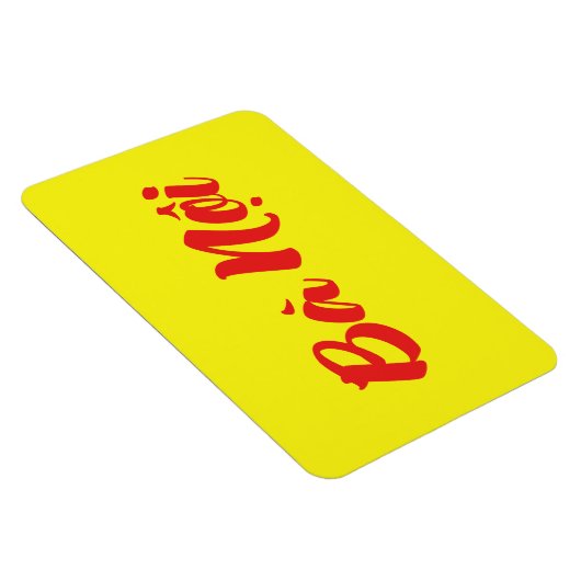 Vietnamees (vaderlijk) grootmoeder - Bà Nempli Magneet (Rechterzijde)