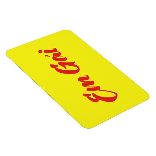 Vietnamees zuster - Em Gái ~ Tipassng Vioott Magneet (Rechterzijde)