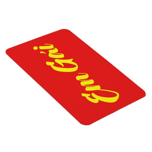 Vietnamees zuster - Em Gái ~ Tipassng Vioott Magneet (Rechterzijde)