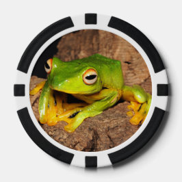 Vietnamese glijdende kikker met zwart webbed pokerchips