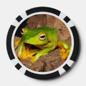 Vietnamese glijdende kikker met zwart webbed pokerchips (Achterkant)