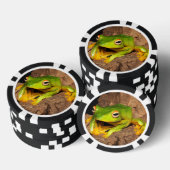 Vietnamese glijdende kikker met zwart webbed pokerchips (Opstapeling)