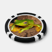 Vietnamese glijdende kikker met zwart webbed pokerchips (Enkel)