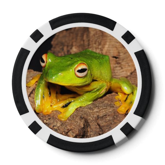 Vietnamese glijdende kikker met zwart webbed pokerchips (Achterkant)