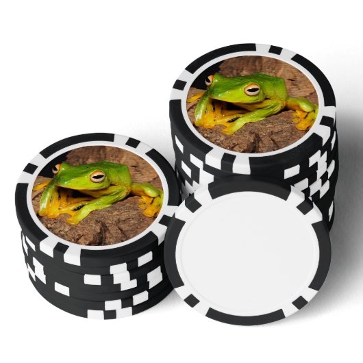 Vietnamese glijdende kikker met zwart webbed pokerchips (Collectie)