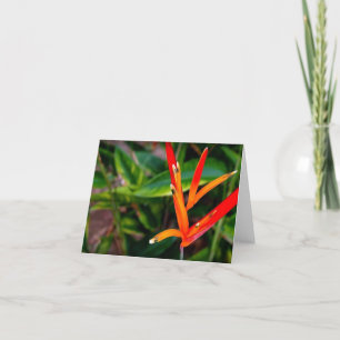 Vietnamese Heliconia All Occasion Notecard Bedankkaart