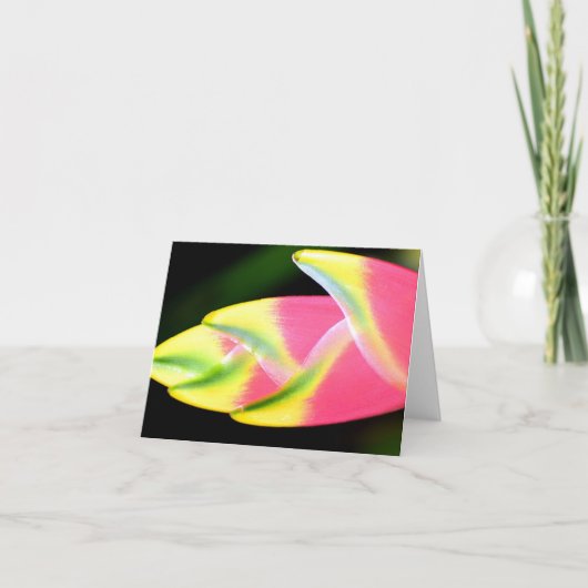 Vietnamese Heliconia Alle gelegenheden Notecard Bedankkaart (Voorkant)