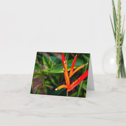 Vietnamese Heliconia Alle gelegenheden Notecard Bedankkaart (Voorkant)