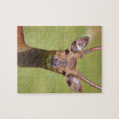 Vietnamese hert legpuzzel (Horizontaal)