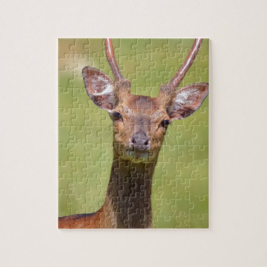 Vietnamese hert legpuzzel (Verticaal)