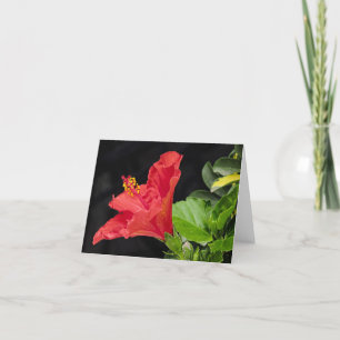 Vietnamese hibiscus all Occasion Notecard Bedankkaart