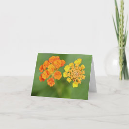 Vietnamese Lantana All Occasion Notecard Bedankkaart