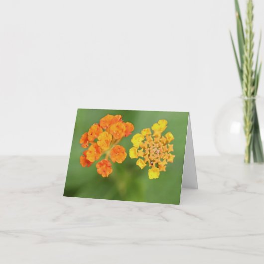 Vietnamese Lantana All Occasion Notecard Bedankkaart (Voorkant)